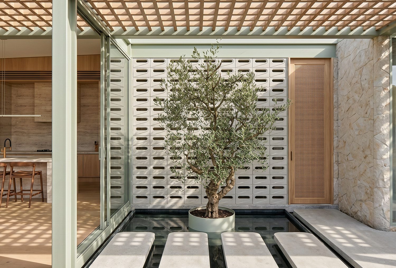 An entrance with a timber screen and a potted olive tree on tiled paving, beneath a batten pergola.